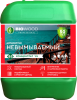 Антисептик невымываемый BIOWOOD BS1 10л.