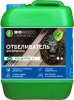 Отбеливатель для древесины BIOWOOD WB 5л.