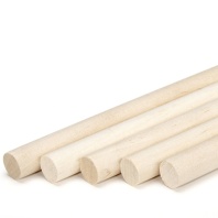 Шкант d-22*1200 мм 